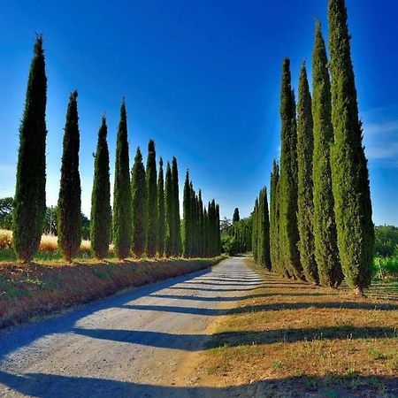 Agriturismo Boschetto Di Montiano Montiano  Εξωτερικό φωτογραφία