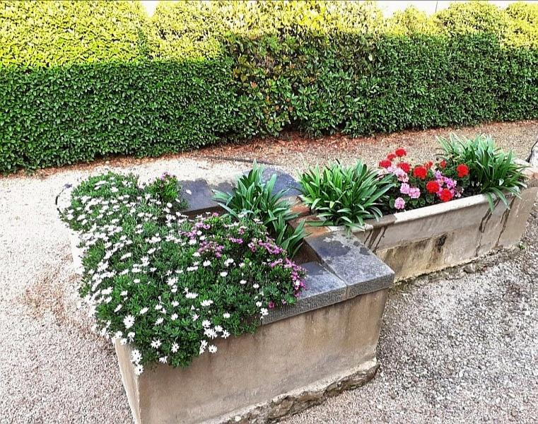 Agriturismo Boschetto Di Montiano Montiano  Εξωτερικό φωτογραφία