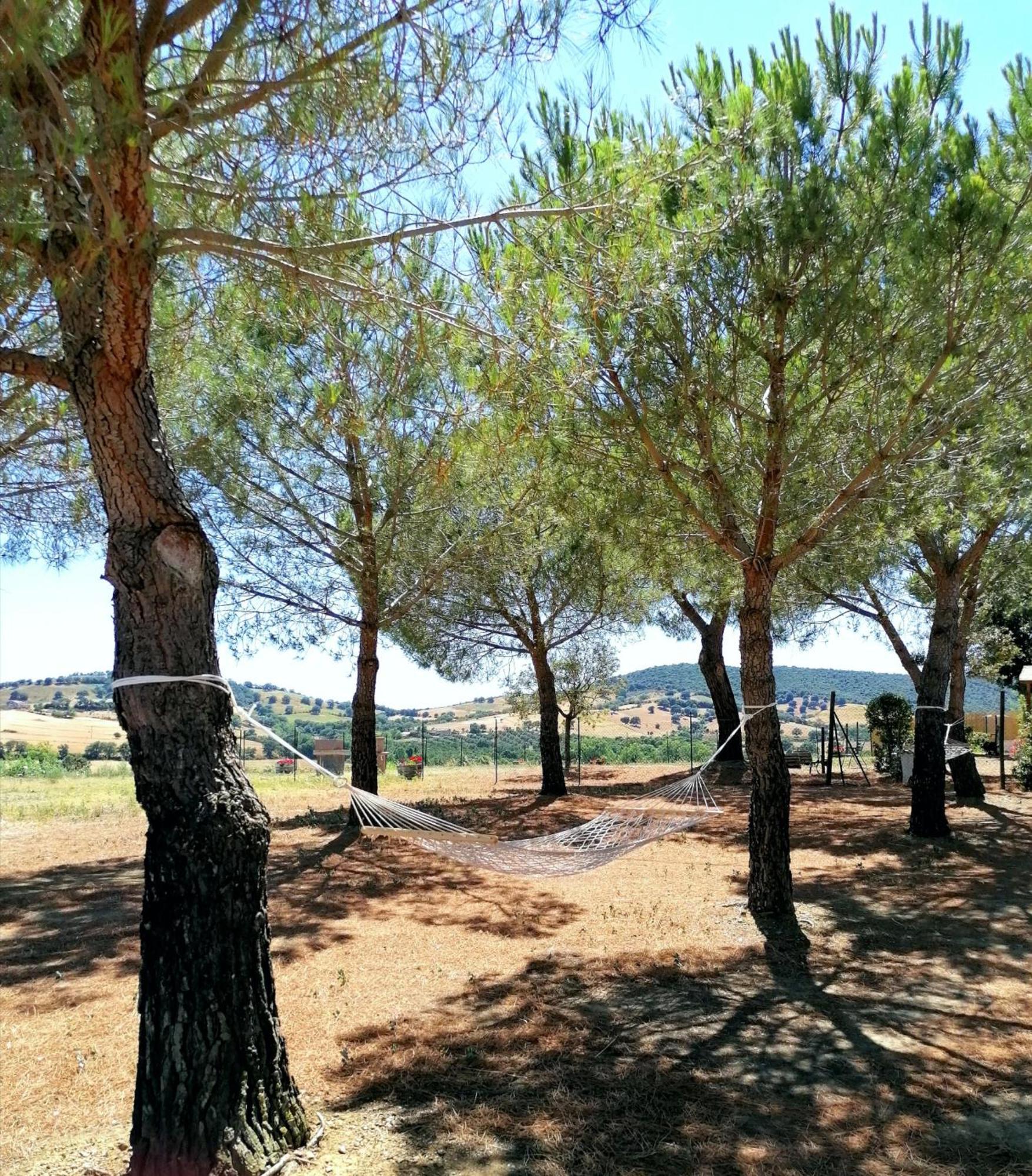 Agriturismo Boschetto Di Montiano Montiano  Δωμάτιο φωτογραφία