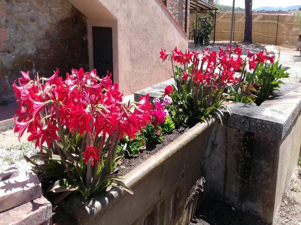 Agriturismo Boschetto Di Montiano Montiano  Εξωτερικό φωτογραφία