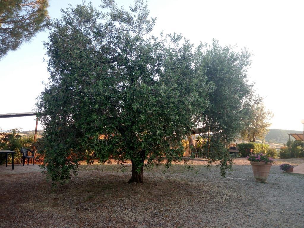 Agriturismo Boschetto Di Montiano Montiano  Εξωτερικό φωτογραφία