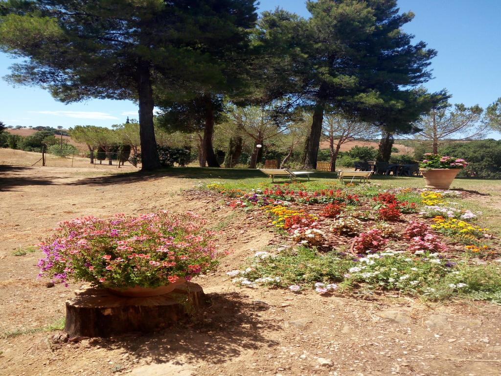 Agriturismo Boschetto Di Montiano Montiano  Εξωτερικό φωτογραφία