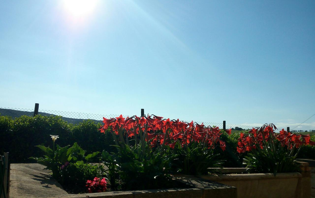 Agriturismo Boschetto Di Montiano Montiano  Εξωτερικό φωτογραφία