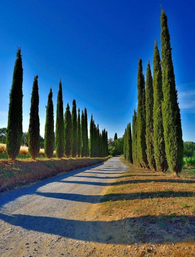 Agriturismo Boschetto Di Montiano Montiano  Εξωτερικό φωτογραφία
